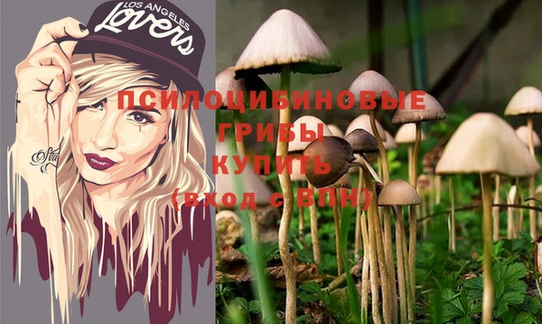 крисы Балахна