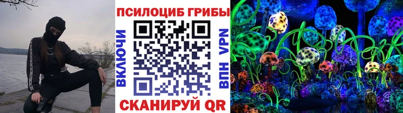 что такое наркотик  MEGA ссылка  Псилоцибиновые грибы Psilocybe  Слободской 